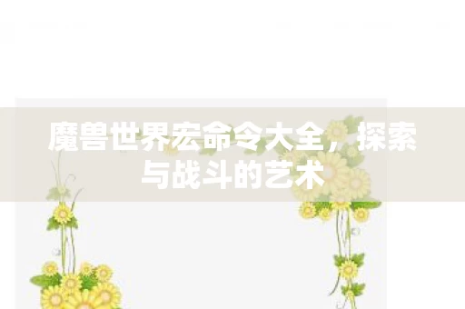 魔兽世界宏命令大全图片