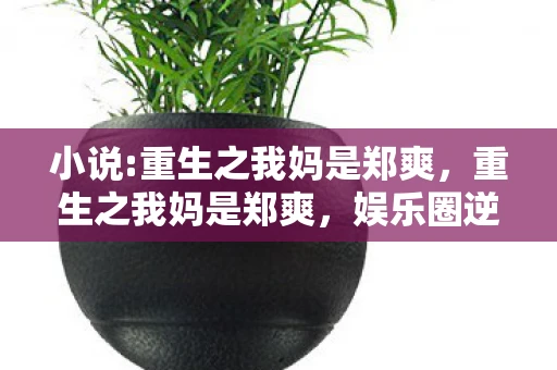 小说:重生之我妈是郑爽，重生之我妈是郑爽，娱乐圈逆袭之旅