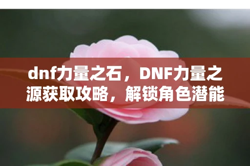 dnf力量之石，DNF力量之源获取攻略，解锁角色潜能的秘诀