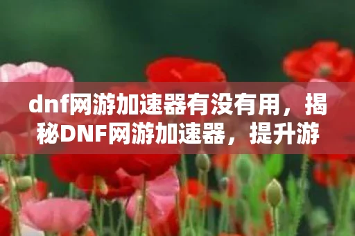 dnf网游加速器有没有用，揭秘DNF网游加速器，提升游戏体验的必备利器