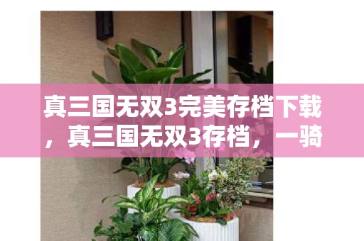 真三国无双3完美存档下载，真三国无双3存档，一骑当千的英雄史诗