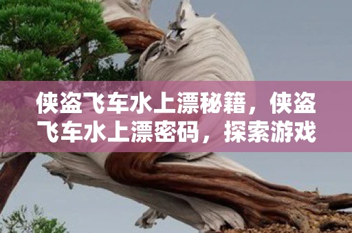 侠盗飞车水上漂秘籍，侠盗飞车水上漂密码，探索游戏内的隐藏秘密