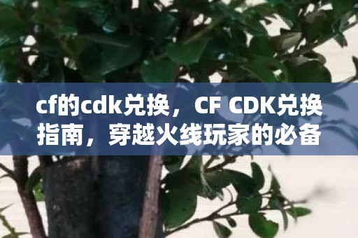 cf的cdk兑换，CF CDK兑换指南，穿越火线玩家的必备指南