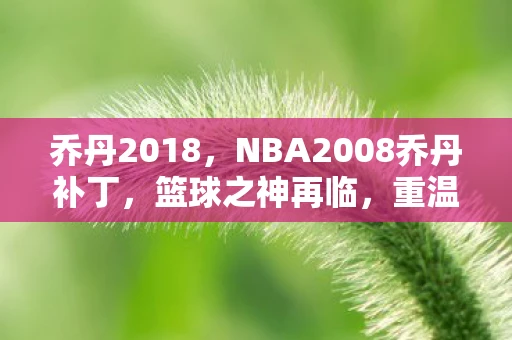 乔丹2018，NBA2008乔丹补丁，篮球之神再临，重温辉煌岁月