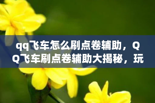 qq飞车怎么刷点卷辅助，QQ飞车刷点卷辅助大揭秘，玩家必备利器与风险探讨