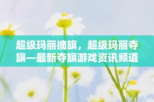 超级玛丽摘旗，超级玛丽夺旗—最新夺旗游戏资讯频道