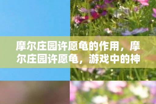 摩尔庄园许愿龟的作用，摩尔庄园许愿龟，游戏中的神秘存在与独特用途