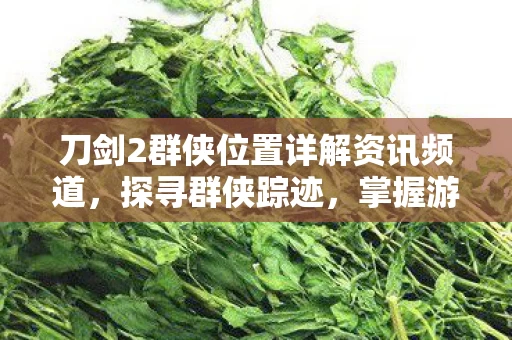 刀剑2群侠位置详解资讯频道图片