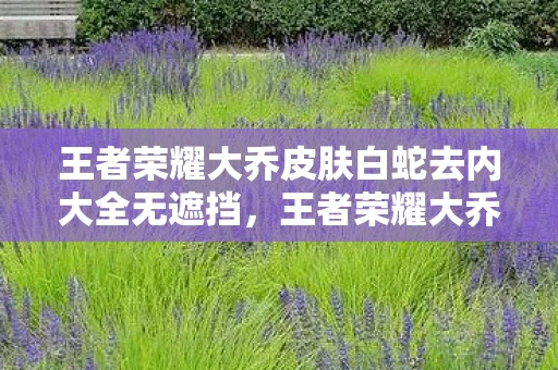 王者荣耀大乔皮肤白蛇去内大全无遮挡，王者荣耀大乔白蛇皮肤的深度解析