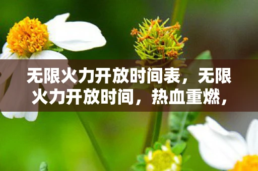 无限火力开放时间表，无限火力开放时间，热血重燃，技能无界（附最新消息）