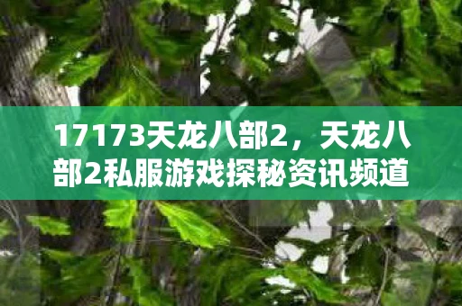 17173天龙八部2,天龙八部2私服游戏探秘资讯频道 17173天龙八部2,天龙八部2私服游戏探秘资讯频道