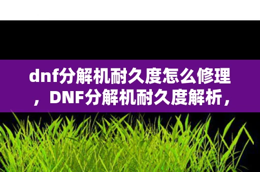 dnf分解机耐久度怎么修理，DNF分解机耐久度解析，维护与使用策略全攻略