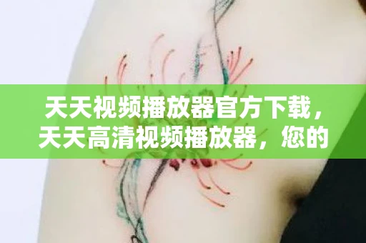 天天视频播放器官方下载，天天高清视频播放器，您的移动影院之选