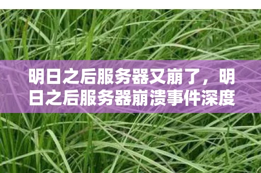 明日之后服务器又崩了,明日之后服务器崩溃事件深度剖析资讯 明日之后服务器又崩了,明日之后服务器崩溃事件深度剖析资讯