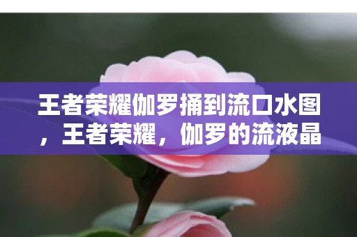 王者荣耀伽罗捅到流口水图,王者荣耀,伽罗的流液晶之痛 王者荣耀伽罗捅到流口水图,王者荣耀,伽罗的流液晶之痛