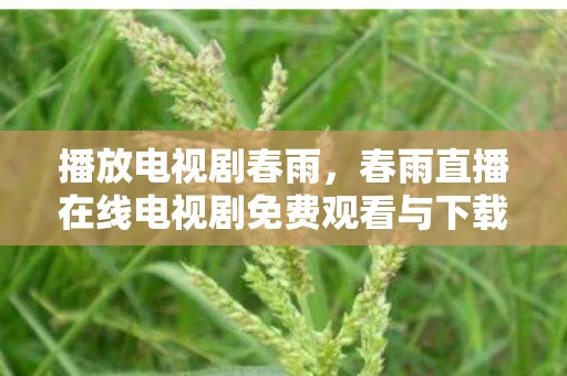 播放电视剧春雨,春雨直播在线电视剧免费观看与下载,探索影视娱乐的新天地 播放电视剧春雨,春雨直播在线电视剧免费观看与下载,探索影视娱乐的新天地