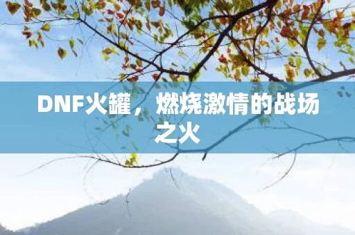 燃烧激情的战场之火图片