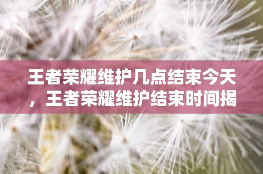王者荣耀维护几点结束今天,王者荣耀维护结束时间揭秘,游戏更新维护的那些事儿 王者荣耀维护几点结束今天,王者荣耀维护结束时间揭秘,游戏更新维护的那些事儿