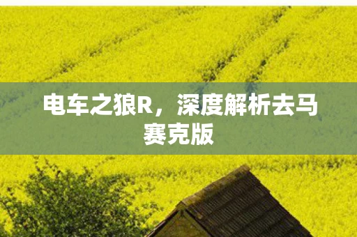 深度解析去马赛克版图片