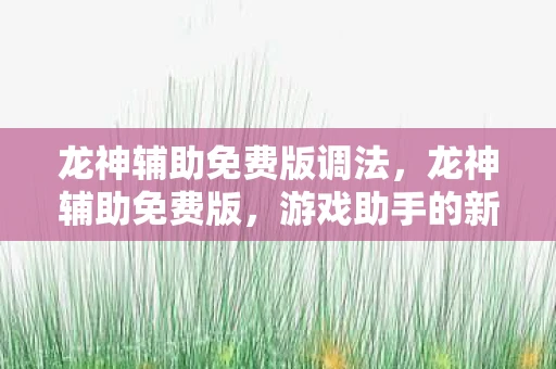 龙神辅助免费版调法，龙神辅助免费版，游戏助手的新时代