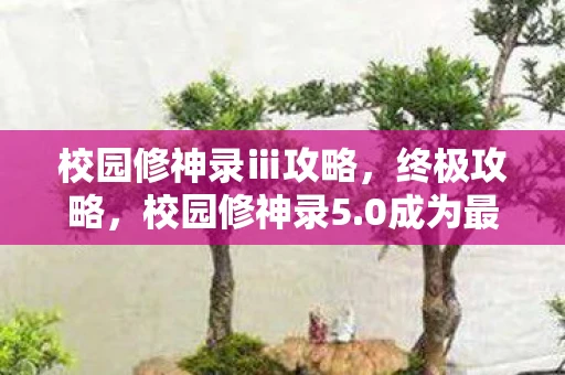 校园修神录ⅲ攻略，终极攻略，校园修神录5.0成为最强修神者的秘诀