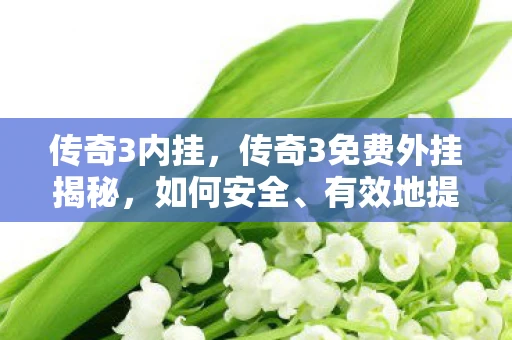 传奇3内挂,传奇3免费外挂揭秘,如何安全、有效地提升游戏体验 传奇3内挂,传奇3免费外挂揭秘,如何安全、有效地提升游戏体验