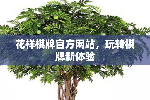 花样棋牌官方网站,玩转棋牌新体验 花样棋牌官方网站,玩转棋牌新体验