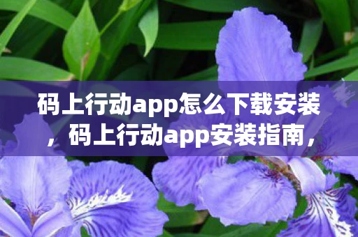 码上行动app怎么下载安装，码上行动app安装指南，详细步骤教你如何安装和使用码上行动