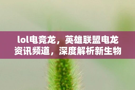 lol电竞龙，英雄联盟电龙资讯频道，深度解析新生物与游戏策略