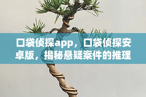 口袋侦探app，口袋侦探安卓版，揭秘悬疑案件的推理游戏