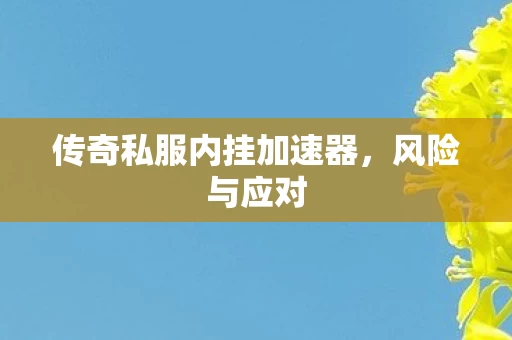 传奇私服内挂加速器图片