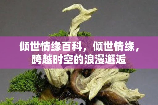 倾世情缘百科,倾世情缘,跨越时空的浪漫邂逅 倾世情缘百科,倾世情缘,跨越时空的浪漫邂逅