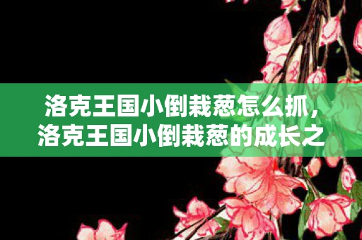 洛克王国小倒栽葱怎么抓，洛克王国小倒栽葱的成长之旅