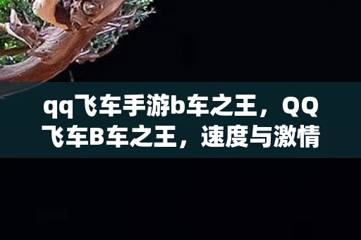 qq飞车手游b车之王，QQ飞车B车之王，速度与激情的平民之选