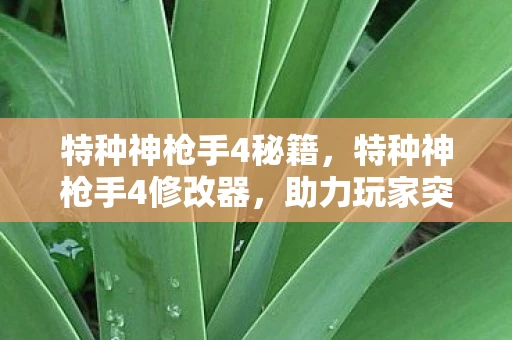 特种神枪手4秘籍,特种神枪手4修改器,助力玩家突破极限,畅享射击游戏乐趣 特种神枪手4秘籍,特种神枪手4修改器,助力玩家突破极限,畅享射击游戏乐趣