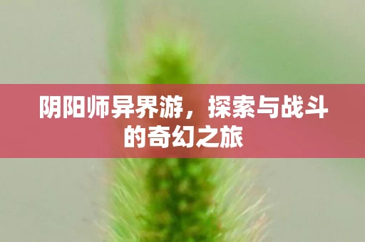 探索与战斗的奇幻之旅图片