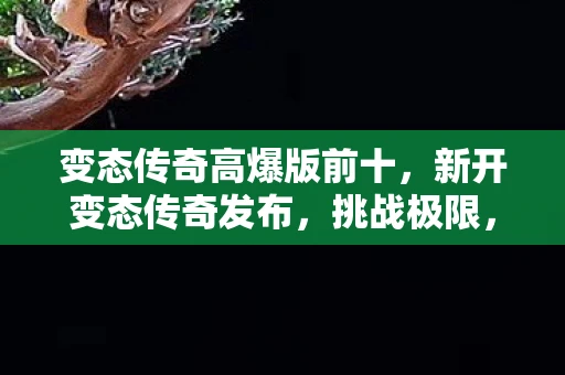 变态传奇高爆版前十，新开变态传奇发布，挑战极限，创造属于你的传奇！
