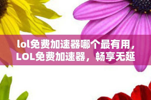 lol免费加速器哪个最有用，LOL免费加速器，畅享无延迟的游戏体验