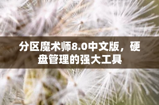 硬盘管理的强大工具图片