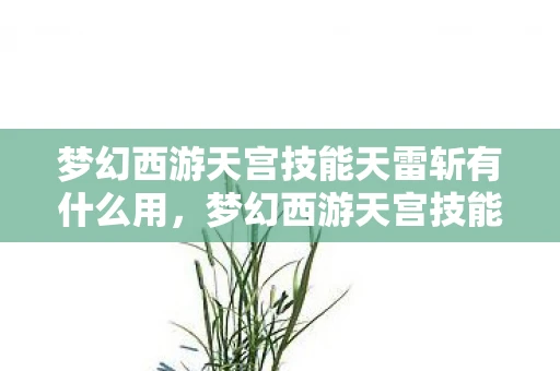 梦幻西游天宫技能天雷斩有什么用,梦幻西游天宫技能,天雷斩与雷霆万钧的奥秘 梦幻西游天宫技能天雷斩有什么用,梦幻西游天宫技能,天雷斩与雷霆万钧的奥秘