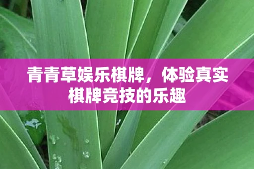 青青草娱乐棋牌,体验真实棋牌竞技的乐趣 青青草娱乐棋牌,体验真实棋牌竞技的乐趣