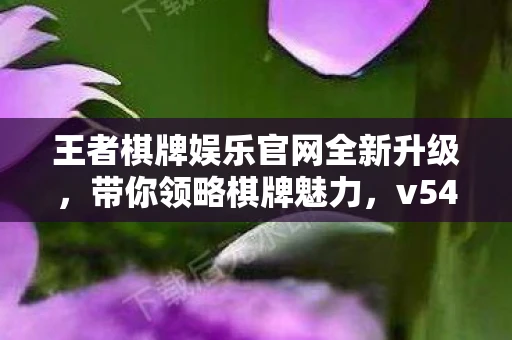 王者棋牌娱乐官网全新升级,带你领略棋牌魅力,v54.2版本APP下载攻略 王者棋牌娱乐官网全新升级,带你领略棋牌魅力,v54.2版本APP下载攻略