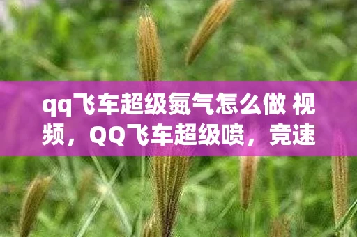 qq飞车超级氮气怎么做 视频,QQ飞车超级喷,竞速体验中的氮气加速利器 qq飞车超级氮气怎么做 视频,QQ飞车超级喷,竞速体验中的氮气加速利器
