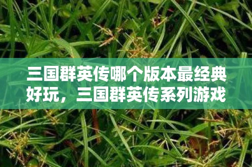 三国群英传哪个版本最经典好玩，三国群英传系列游戏深度解析，哪个版本最好玩？