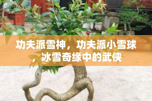 功夫派雪神,功夫派小雪球,冰雪奇缘中的武侠 功夫派雪神,功夫派小雪球,冰雪奇缘中的武侠