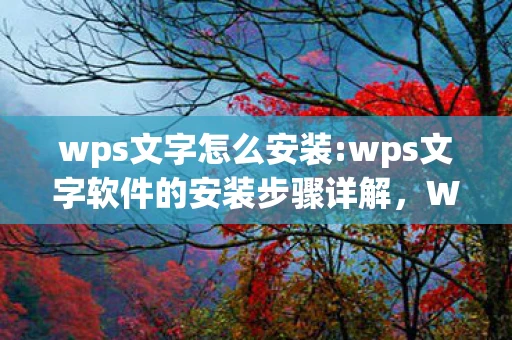 wps文字怎么安装:wps文字软件的安装步骤详解，WPS文字软件的安装步骤详解