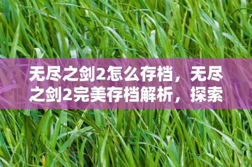 无尽之剑2怎么存档，无尽之剑2完美存档解析，探索史诗级冒险