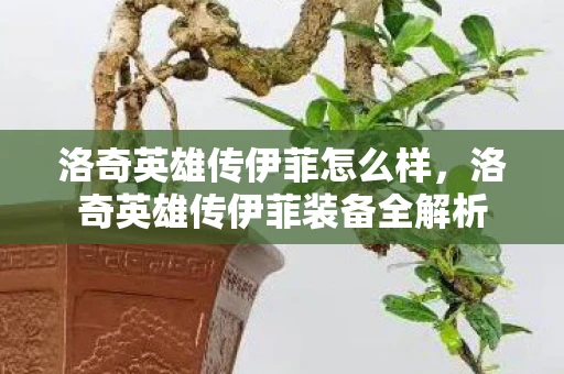 洛奇英雄传伊菲怎么样,洛奇英雄传伊菲装备全解析 洛奇英雄传伊菲怎么样,洛奇英雄传伊菲装备全解析