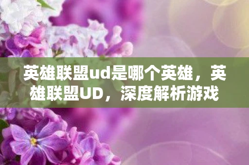 英雄联盟ud是哪个英雄，英雄联盟UD，深度解析游戏中的终极破坏者