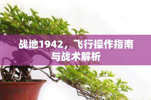飞行操作指南与战术解析图片